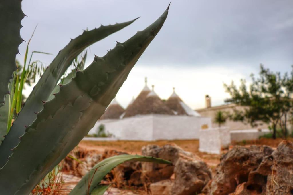 I Trulli D'A Ross Villa Ceglie Messapica Ngoại thất bức ảnh
